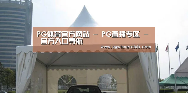 案例标题八