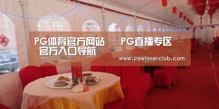 案例标题二