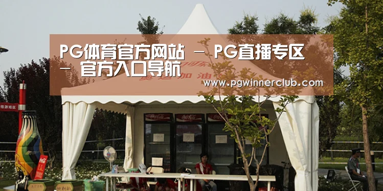 案例标题五