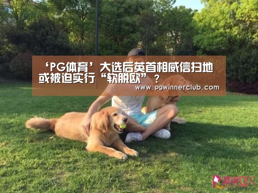 PG专区
