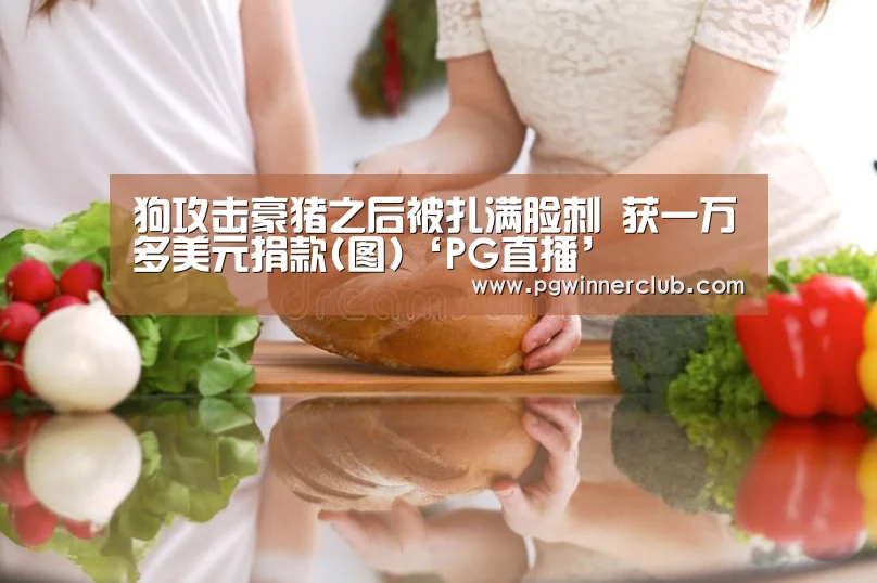 PG导航