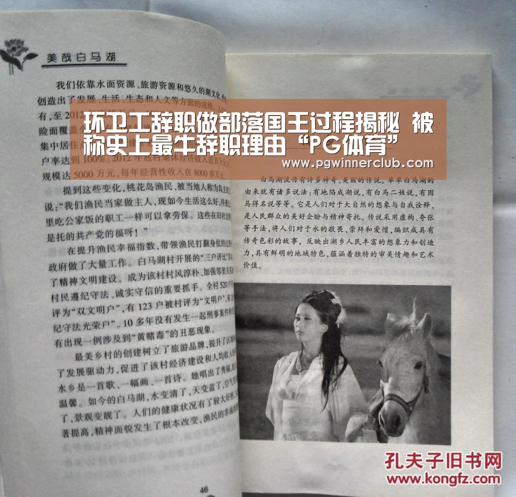 PG导航